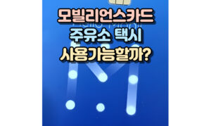 Read more about the article 모빌리언스카드 주유소 택시 사용가능 할까? 사용처 알아보기