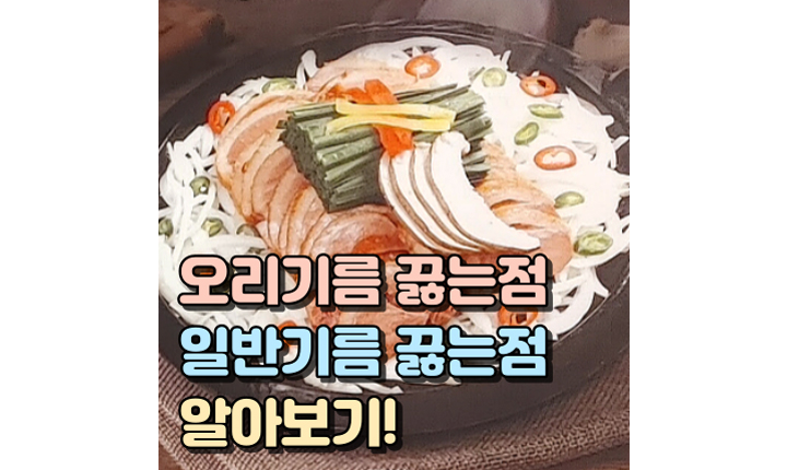 Read more about the article 오리기름 끓는점, 일반 기름 끓는점! 알아보기