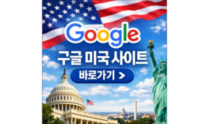 Read more about the article 구글 미국 사이트 바로가기 검색 접속 방법