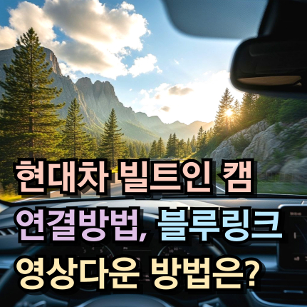 그랜저 하이브리드 빌트인 캠 연결 방법 블루링크 썸네일