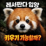 레서판다 입양 키우기 가능할까 대표 썸네일