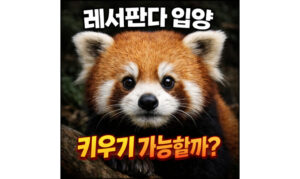 Read more about the article 레서판다 입양 키우기 가능할까?
