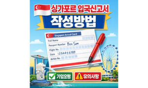 Read more about the article 싱가포르 입국신고서 작성방법 제출시기 절차 주의사항