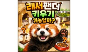 Read more about the article 래서팬더 키우기! 랫서 래서 랜서 레서판다 입양 가능할까?