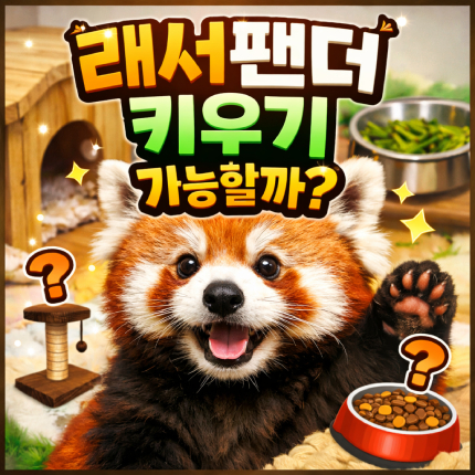 래서팬더 키우기 랫서 래서 랜서 레서판다 입양 썸네일