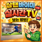 삼탠바이미 실시간tv 보는 법 지상파 방송 티빙 시청 대표 썸네일