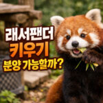 래서팬더 키우기 렛서팬더 래서판다 분양 입양 대표 썸네일