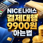 nice결제대행 9900원 나이스 통신판매 정보 대표 썸네일