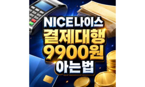 Read more about the article NICE결제대행 9900원 나이스 통신판매 정보통신 아는법